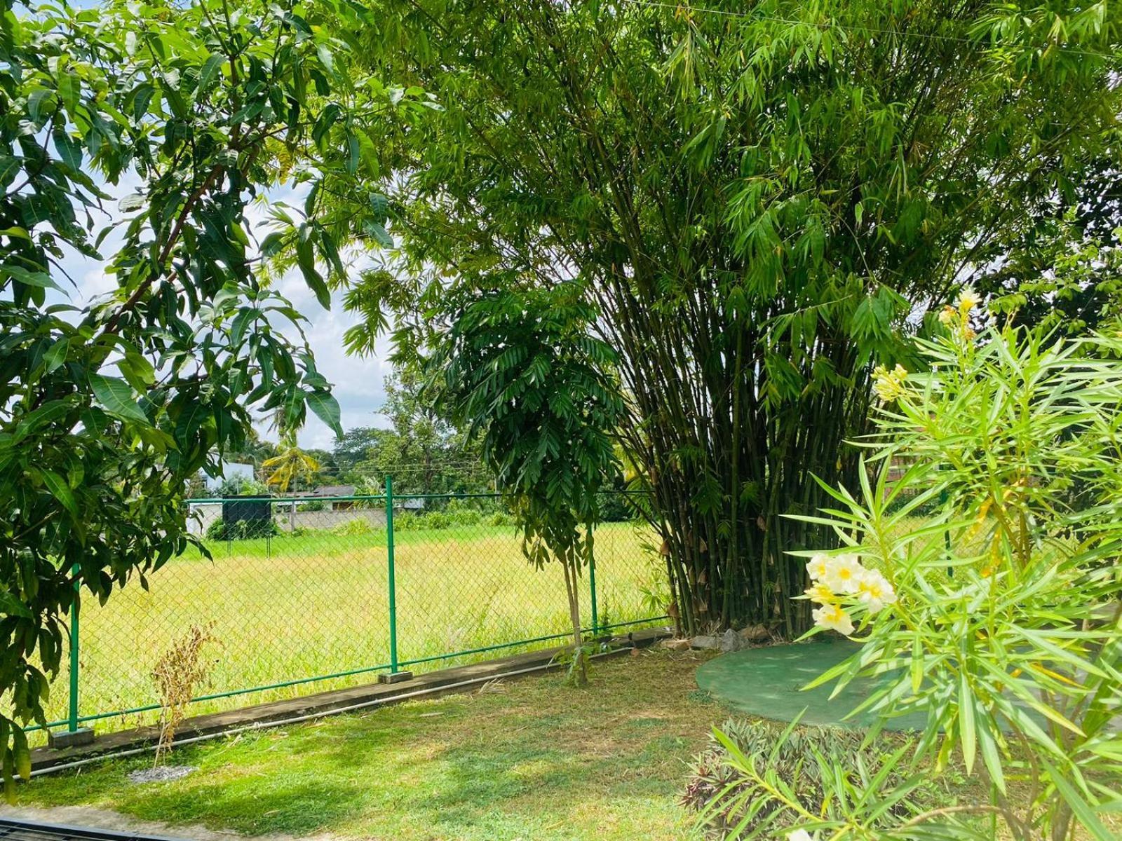 Premium Cottages B&B Kurunegala Exteriör bild