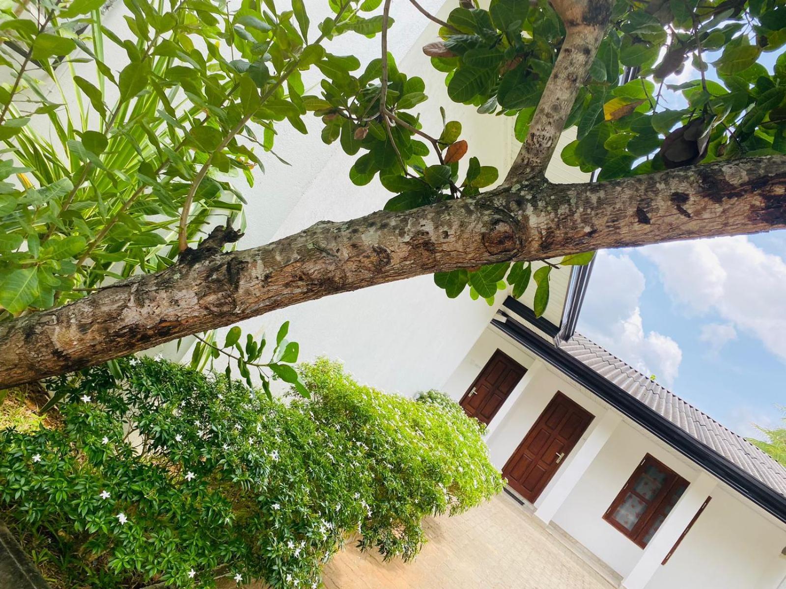 Premium Cottages B&B Kurunegala Exteriör bild