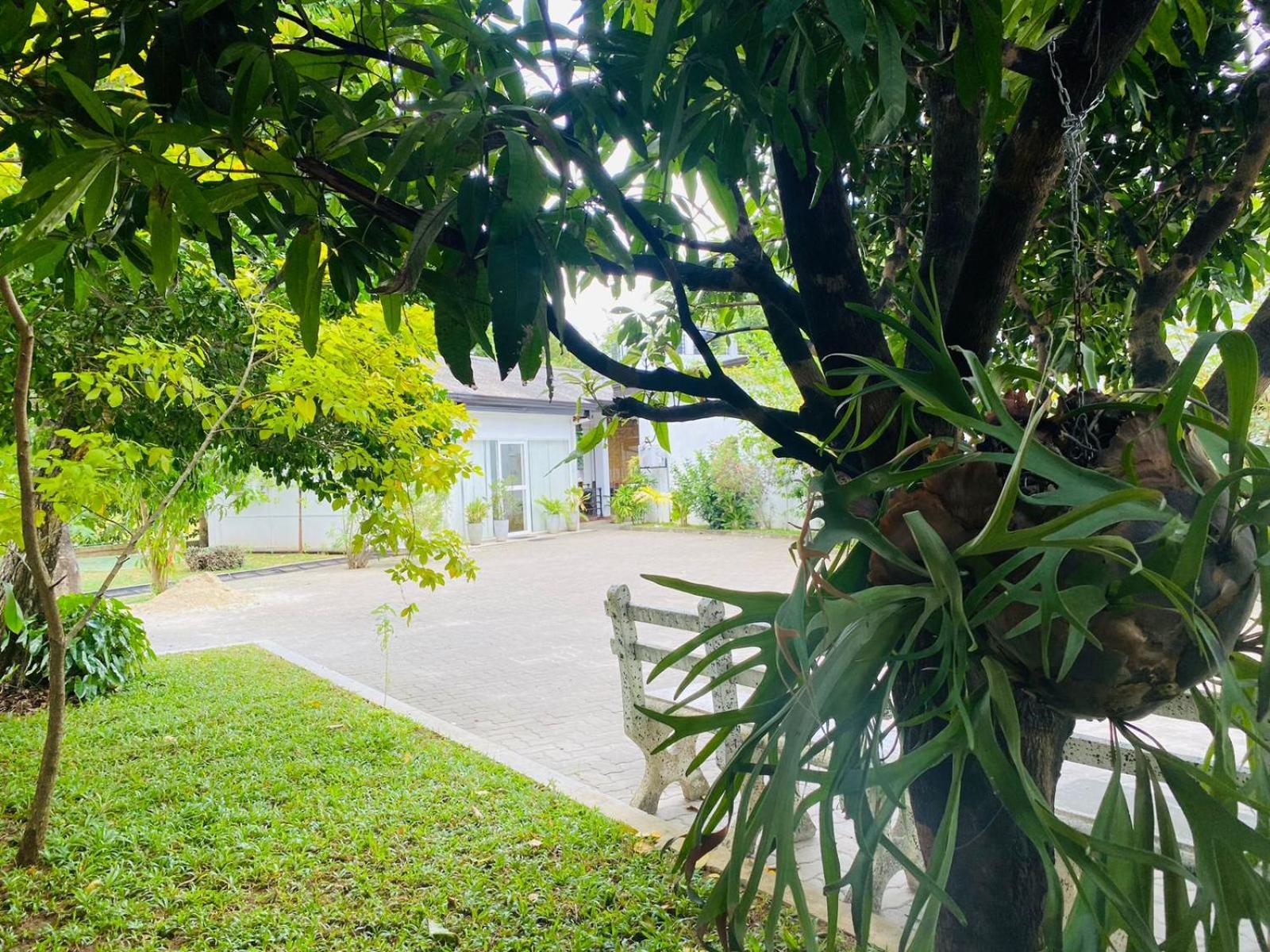 Premium Cottages B&B Kurunegala Exteriör bild